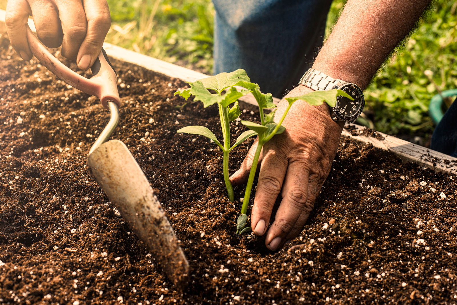 Things you need for gardening tools